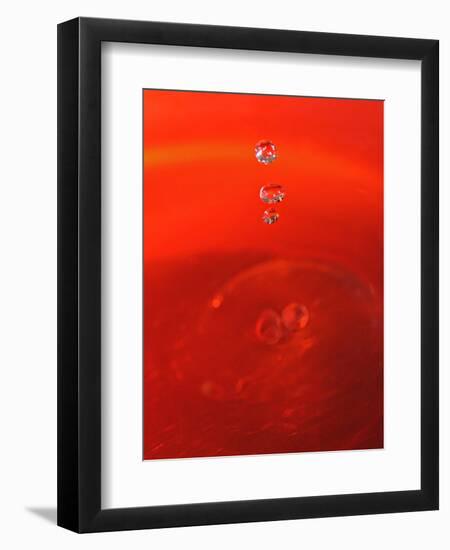 Red Drink Drop II-Tammy Putman-Framed Photographic Print