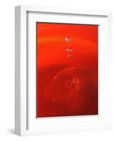 Red Drink Drop II-Tammy Putman-Framed Photographic Print