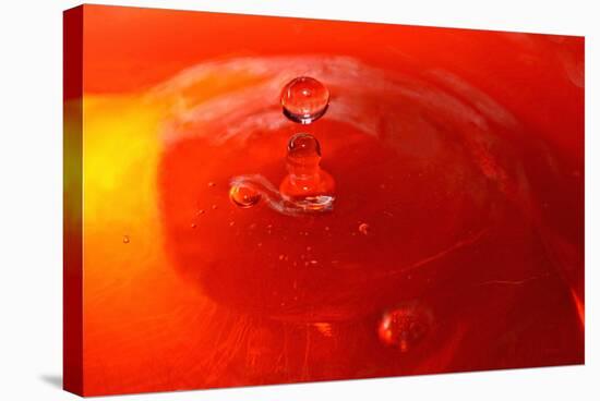 Red Drink Drop III-Tammy Putman-Stretched Canvas