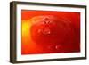 Red Drink Drop III-Tammy Putman-Framed Photographic Print