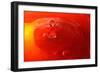 Red Drink Drop III-Tammy Putman-Framed Photographic Print