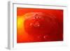 Red Drink Drop III-Tammy Putman-Framed Photographic Print