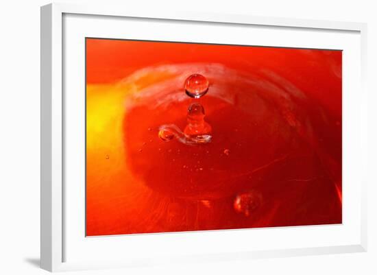 Red Drink Drop III-Tammy Putman-Framed Photographic Print