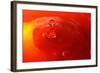 Red Drink Drop III-Tammy Putman-Framed Photographic Print