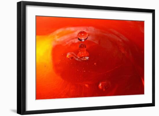 Red Drink Drop III-Tammy Putman-Framed Photographic Print