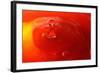 Red Drink Drop III-Tammy Putman-Framed Photographic Print