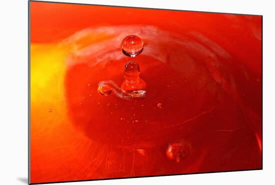 Red Drink Drop III-Tammy Putman-Mounted Photographic Print
