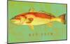 Red Drum-John Golden-Mounted Art Print