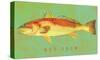 Red Drum-John Golden-Stretched Canvas