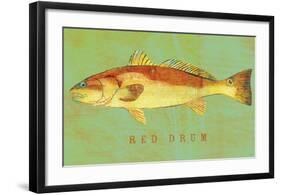 Red Drum-John W^ Golden-Framed Art Print