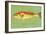 Red Drum-John W Golden-Framed Giclee Print