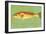 Red Drum-John W Golden-Framed Giclee Print