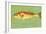 Red Drum-John W Golden-Framed Giclee Print