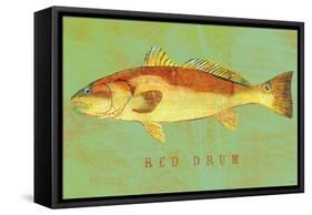 Red Drum-John W Golden-Framed Stretched Canvas