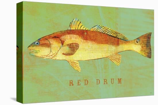 Red Drum-John W Golden-Stretched Canvas