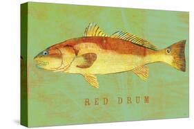 Red Drum-John W Golden-Stretched Canvas