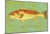 Red Drum-John W Golden-Mounted Premium Giclee Print