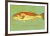 Red Drum-John W Golden-Framed Giclee Print