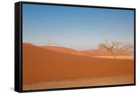 Red Dune-F.C.G.-Framed Stretched Canvas