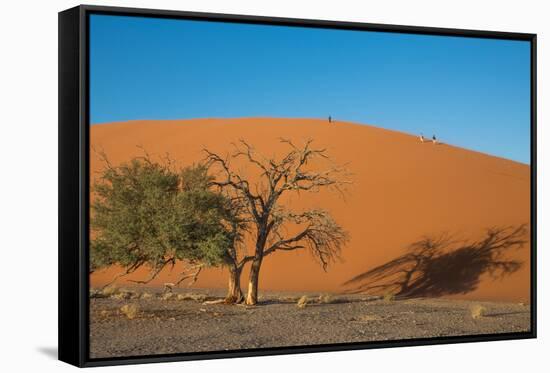 Red Dune-F.C.G.-Framed Stretched Canvas