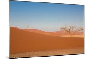 Red Dune-F.C.G.-Mounted Photographic Print