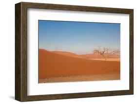 Red Dune-F.C.G.-Framed Photographic Print