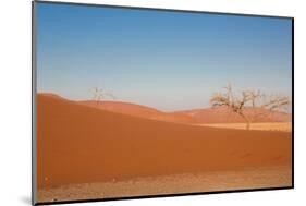 Red Dune-F.C.G.-Mounted Photographic Print