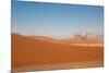 Red Dune-F.C.G.-Mounted Photographic Print