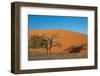 Red Dune-F.C.G.-Framed Photographic Print