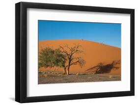 Red Dune-F.C.G.-Framed Photographic Print