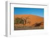 Red Dune-F.C.G.-Framed Photographic Print