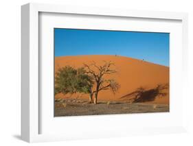 Red Dune-F.C.G.-Framed Photographic Print