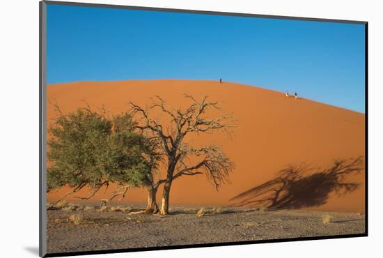 Red Dune-F.C.G.-Mounted Photographic Print