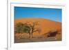 Red Dune-F.C.G.-Framed Photographic Print