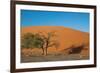 Red Dune-F.C.G.-Framed Photographic Print