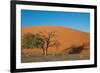 Red Dune-F.C.G.-Framed Photographic Print