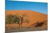 Red Dune-F.C.G.-Mounted Photographic Print