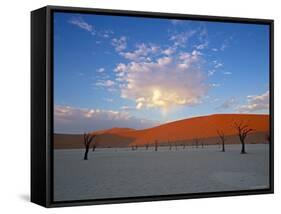 Red dunes and dead acacia tree, Dead Vlei, Namib-Naukluft-Sossusvlei, Namibia-Gavin Hellier-Framed Stretched Canvas