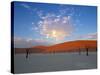 Red dunes and dead acacia tree, Dead Vlei, Namib-Naukluft-Sossusvlei, Namibia-Gavin Hellier-Stretched Canvas