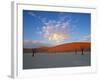 Red dunes and dead acacia tree, Dead Vlei, Namib-Naukluft-Sossusvlei, Namibia-Gavin Hellier-Framed Photographic Print