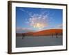 Red dunes and dead acacia tree, Dead Vlei, Namib-Naukluft-Sossusvlei, Namibia-Gavin Hellier-Framed Photographic Print