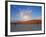 Red dunes and dead acacia tree, Dead Vlei, Namib-Naukluft-Sossusvlei, Namibia-Gavin Hellier-Framed Photographic Print