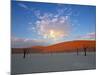 Red dunes and dead acacia tree, Dead Vlei, Namib-Naukluft-Sossusvlei, Namibia-Gavin Hellier-Mounted Photographic Print