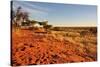 Red Dunes at Sunset, Kalahari-halpand-Stretched Canvas