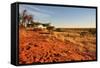 Red Dunes at Sunset, Kalahari-halpand-Framed Stretched Canvas