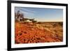 Red Dunes at Sunset, Kalahari-halpand-Framed Photographic Print