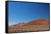 Red Dunes of Sossusvlei-schoolgirl-Framed Stretched Canvas