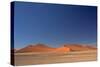 Red Dunes of Sossusvlei-schoolgirl-Stretched Canvas