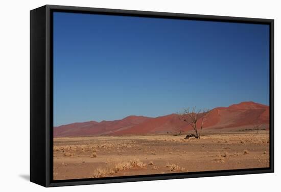 Red Dunes of Sossusvlei-schoolgirl-Framed Stretched Canvas