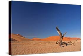 Red Dunes of Sossusvlei-schoolgirl-Stretched Canvas